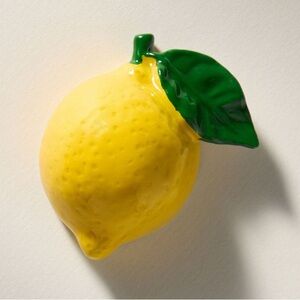 NWT Anthropologie Delice Lemon Bottle Opener